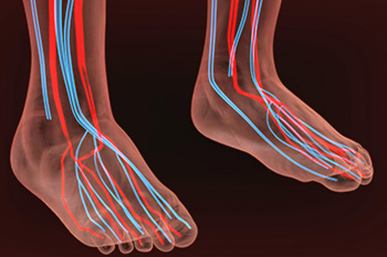 vascular diagnostics, Award Winning Medical Practice in the Cherokee County GA: Canton, Holly Springs, Sixes, Kennesaw, Acworth, Bridgemill, Keithsburg, Avery, Buffington, Sutallee, Lebanon, Kellogg Creek, Hickory Flat areas